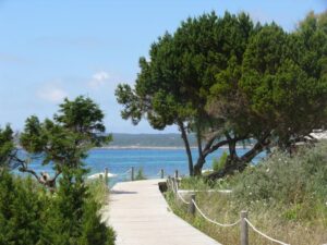 Jogging auf Formentera Jogging auf Formentera