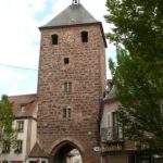 Klappernde Störche im Elsass
