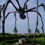 Wer liegt unter der Spinne?