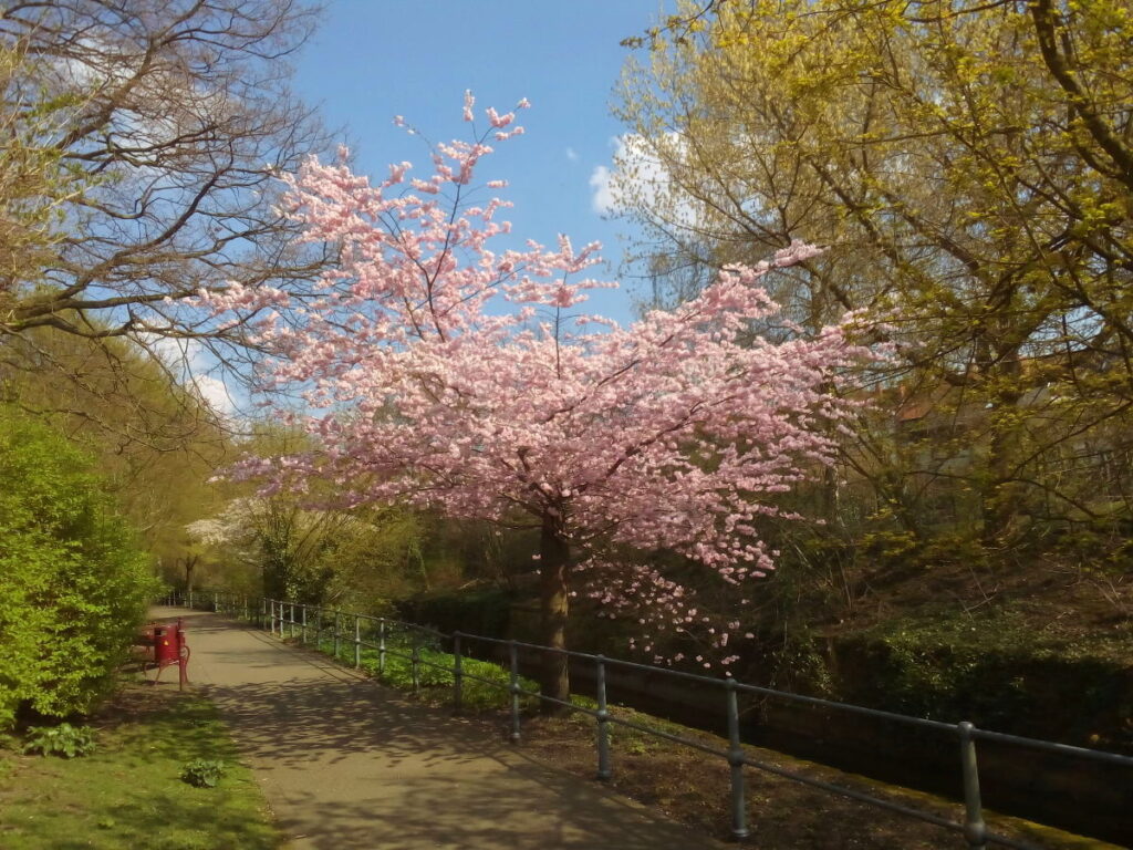 frühling