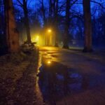 Nach dem Regen