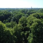 Perspektivwechsel