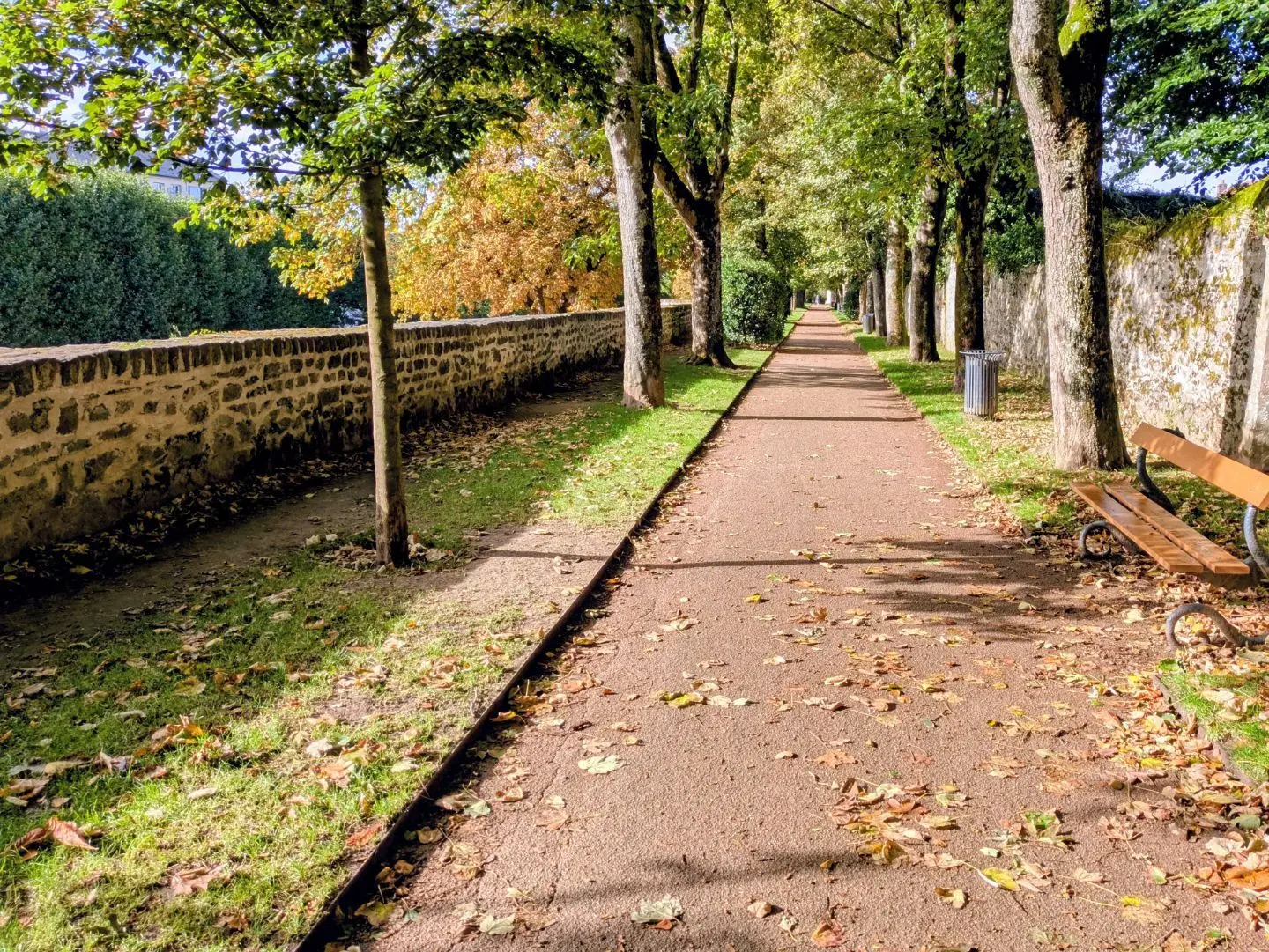 Baumgesäumter Weg mit Laub auf dem Boden, links eine Steinmauer, rechts eine Bank und ein Mülleimer