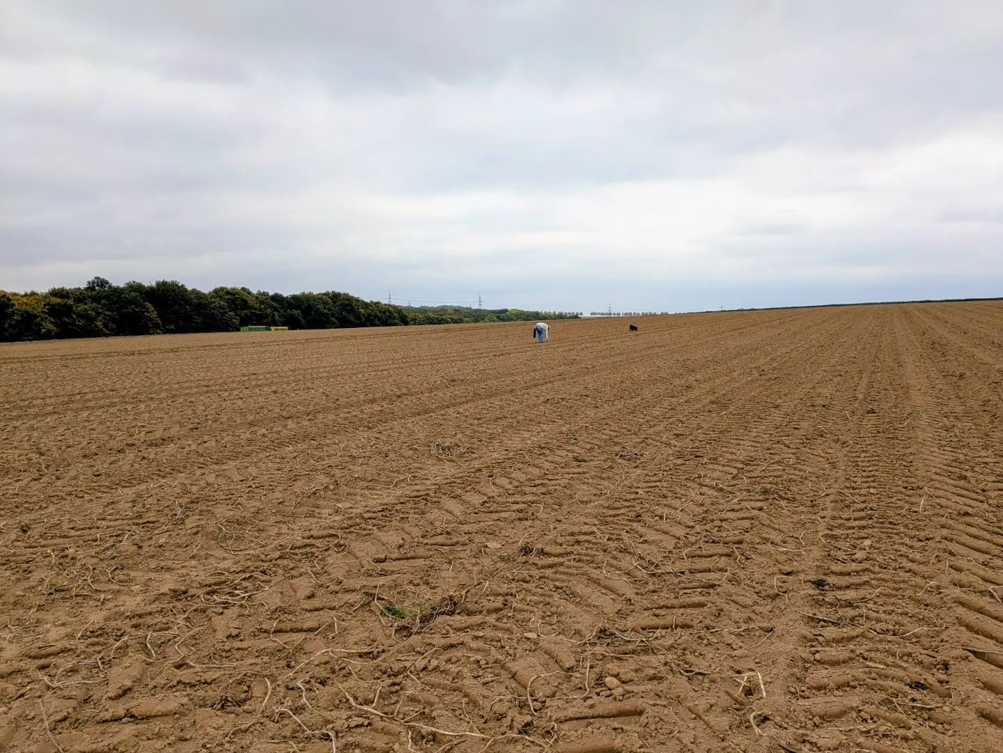 Weites, frisch gepflügtes Feld unter bewölktem Himmel, im Hintergrund zwei Personen und ein Hund auf dem Feld.