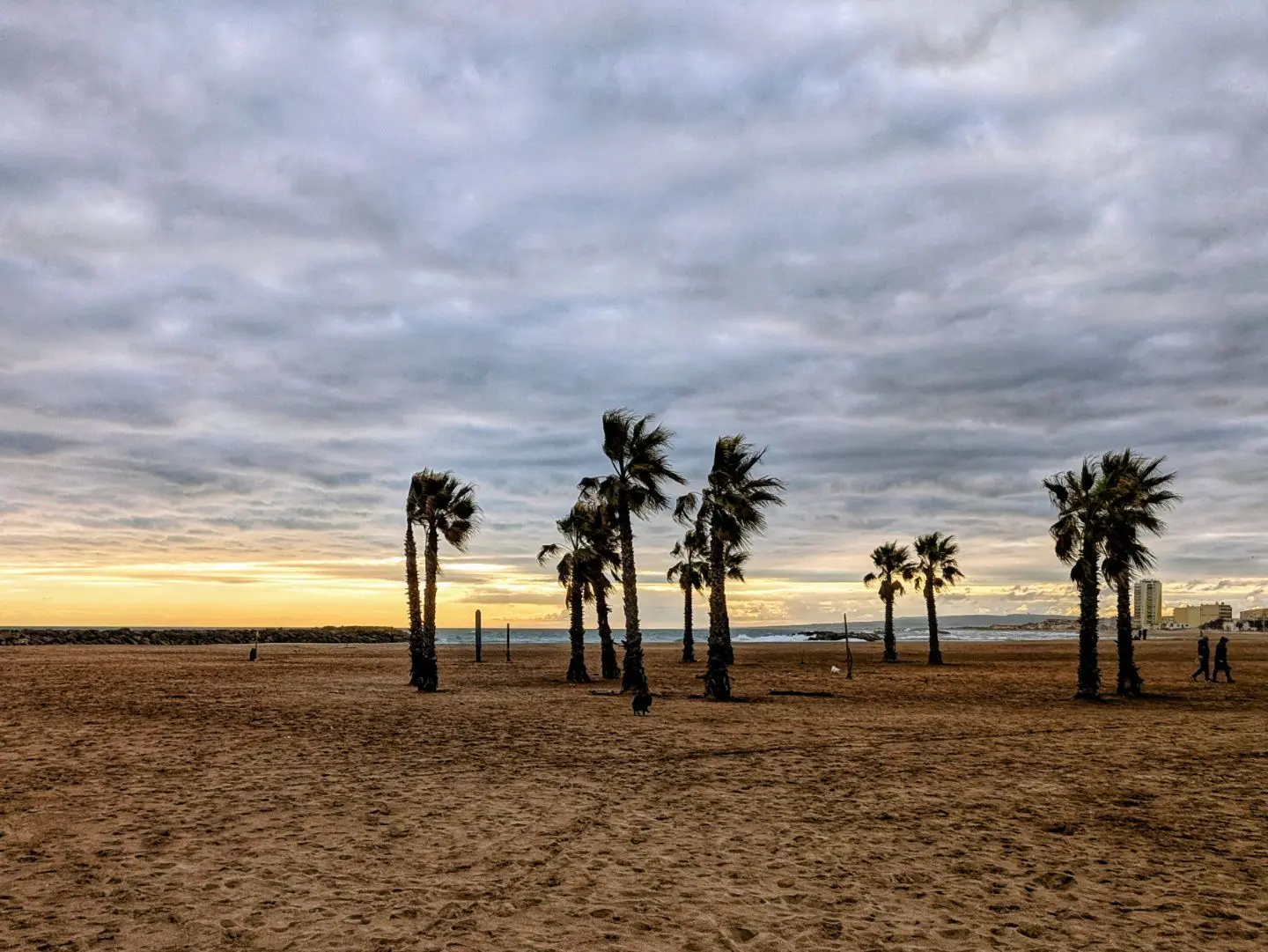 Mehrere Palmen stehen auf einem breiten Sandstrand unter bewölktem Himmel bei Sonnenuntergang.