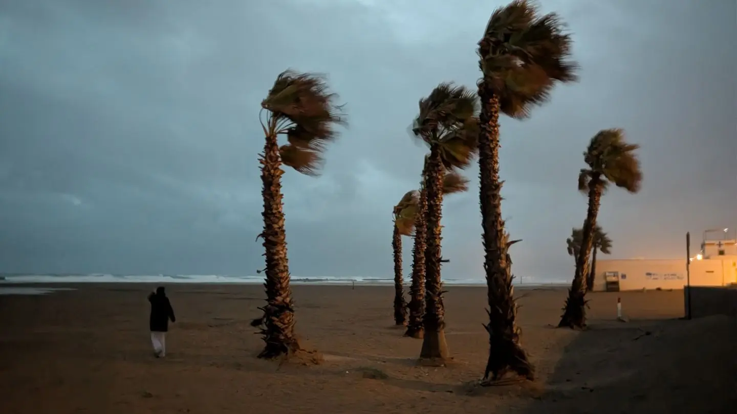Mehrere Palmen am Strand bei Dämmerung, eine Person geht am linken Bildrand entlang, im Hintergrund das Meer und ein Gebäude mit Beleuchtung.
