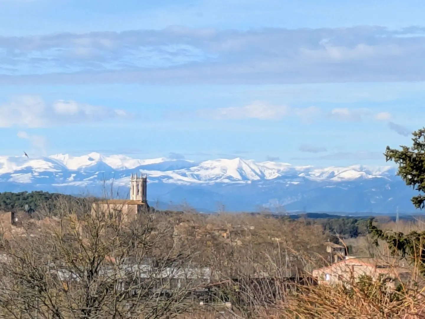 Blick auf schneebedeckte Berge im Hintergrund, davor ein Dorf mit einem Kirchturm und kahlen Bäumen