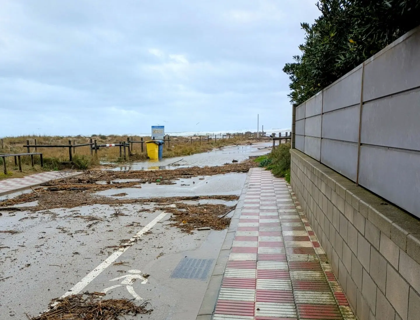 Weg mit Fahrradpiktogramm, übersät mit Treibgut, neben einem gepflasterten Fußweg und einer Mauer unter bewölktem Himmel