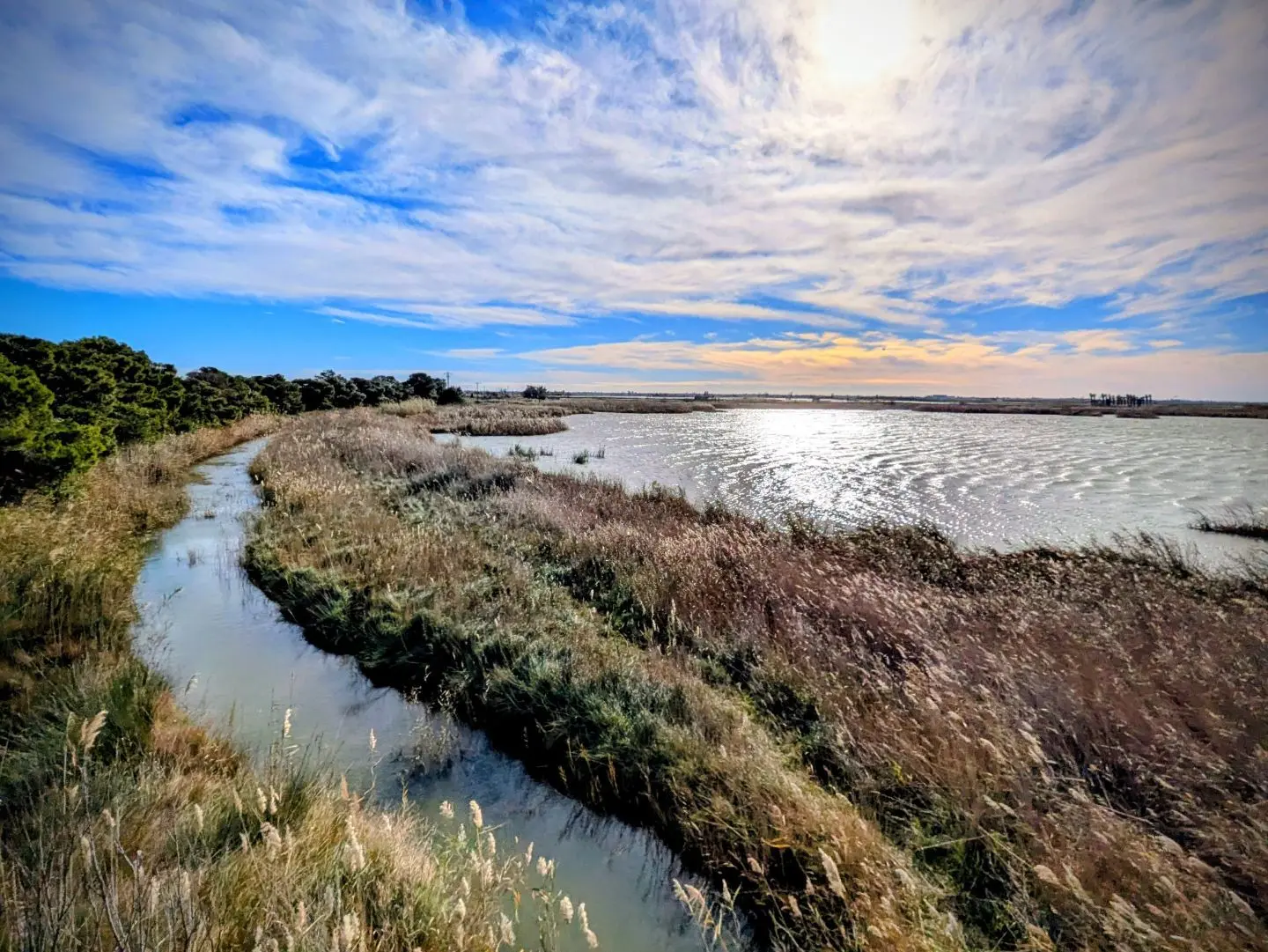 Fluss mit Schilf und Bäumen unter bewölktem Himmel am Ufer eines großen Gewässers.