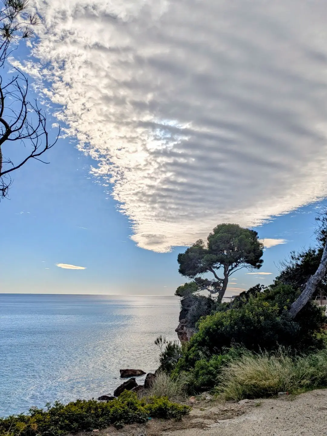 Klippenlandschaft mit einzelnen Bäumen und bewachsenem Ufer unter einem Himmel mit einer großen, wolkenbedeckten Fläche über dem Meer.
