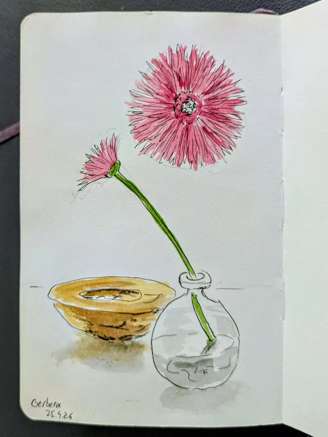 Aquarellzeichnung einer pinken Gerbera mit grünem Stiel in einer Glasvase neben einer braunen Schale auf weißem Papier